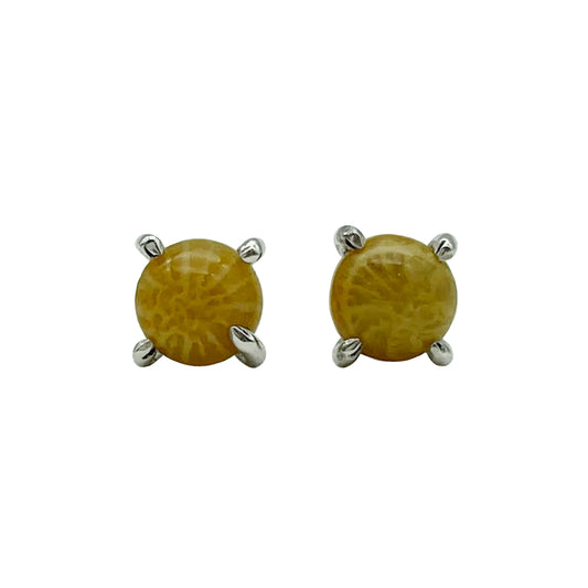 Fossil Coral Stud Earrings